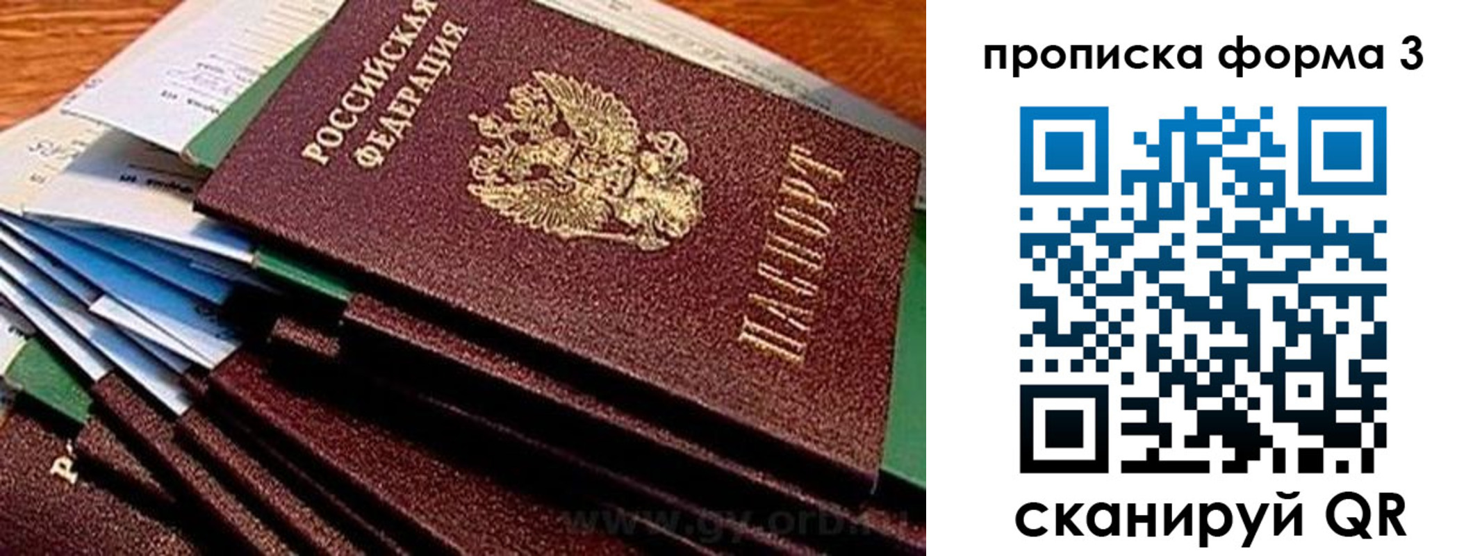 прописка иностранных граждан в Карелии